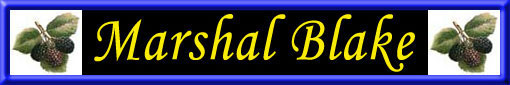 Marshal Blake Logo